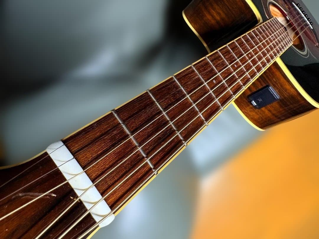 ☆極上単板トップ仕様！ヤマハ FSX-900SCがこれだ！超激鳴・新品