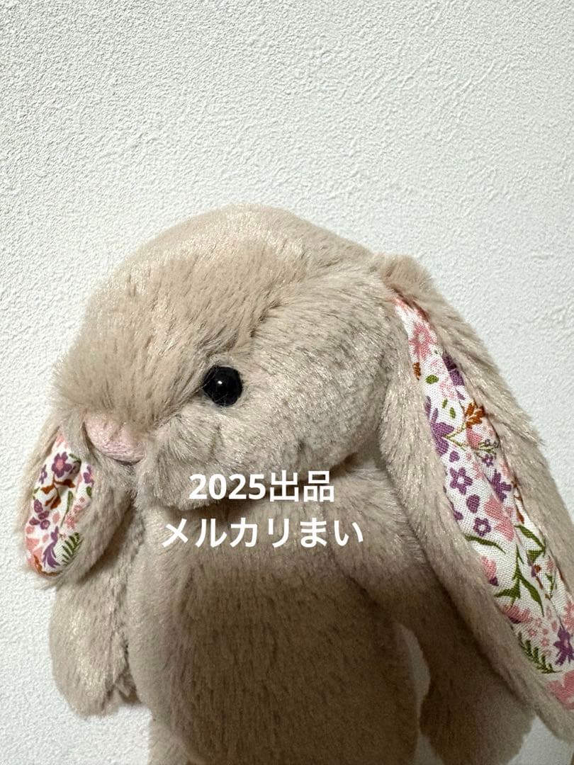  Blossom Beige Bunny 'Petal' （S）