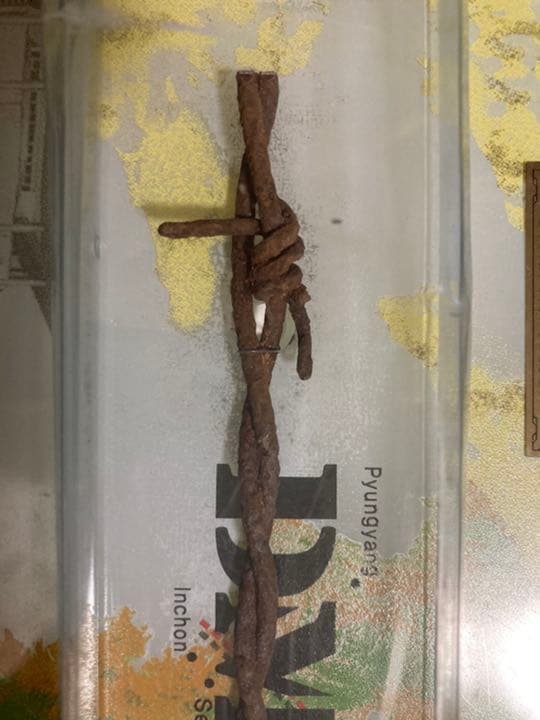 DMZ鉄条網 シリアルナンバー入り