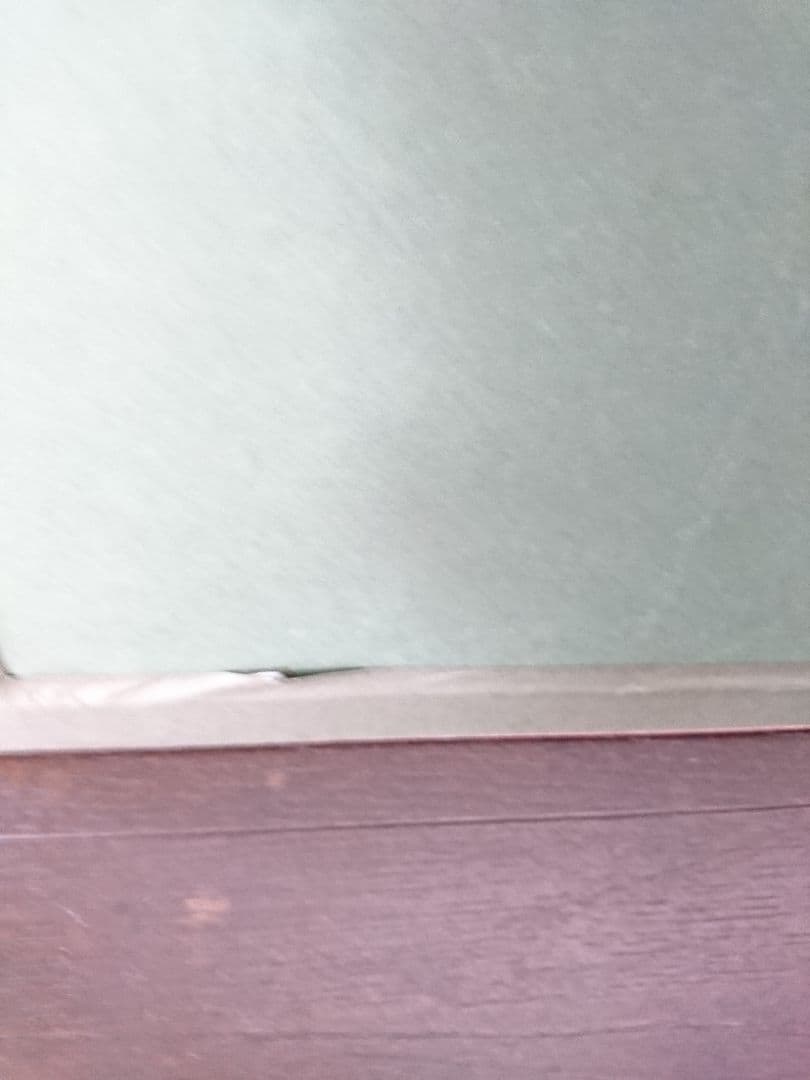 サージ マルジス SERGE MARJISSE『赤い花』