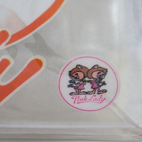 激レア当時物！70年代！ピンクレディー ビニールバッグ プールバッグ