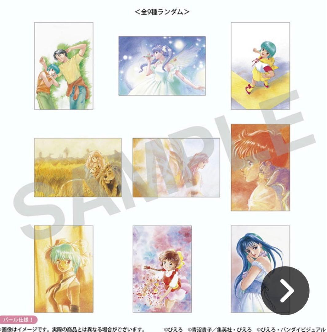 ぴえろ魔法少女　カードコンプ、めじるしアクリルチャーム　【特典配布3種付】セット