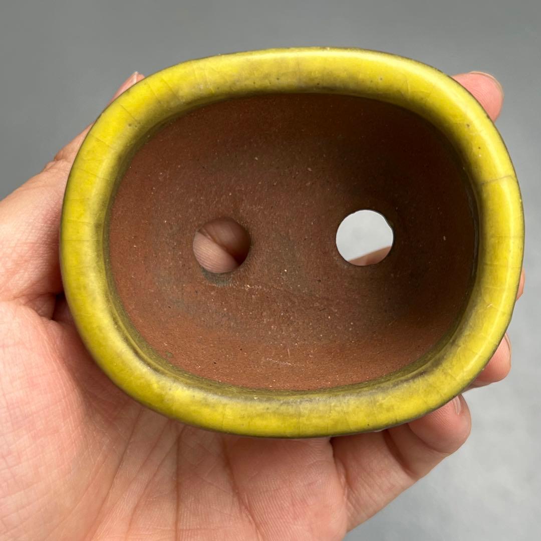 753.暁雲 黄釉鼓釘楕円 盆栽鉢 植木鉢 8*6.7*3.6cm
