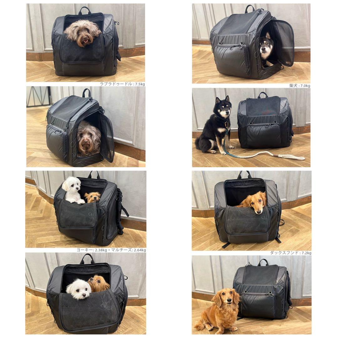 AIRBUGGY キャリーバッグ ☆クッションと取扱説明書付き3WAY WIDE