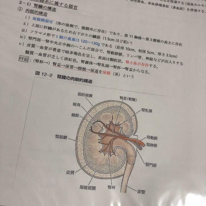 阪口昇さま専用 シャイニング パシフィカ