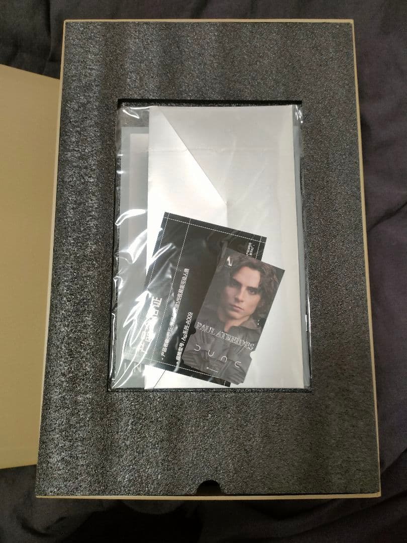 INART デューン 砂の惑星 ポール アトレイデス DX.Ver