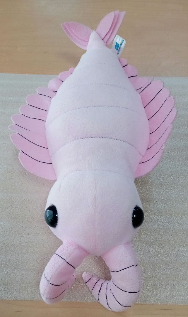 ♾️超稀少!! アノマロカリス＆ウミサソリのぬいぐるみ2体