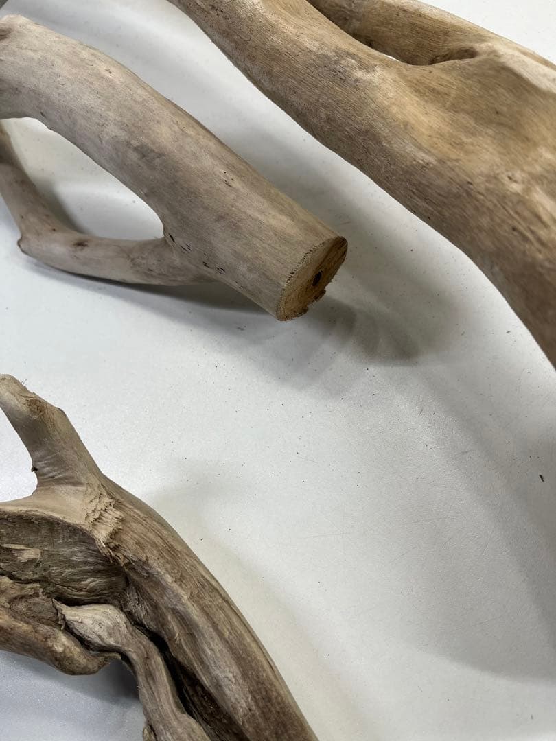 F7アク抜き済み流木セット 爬虫類シェルター 登り木 インテリア 生け花