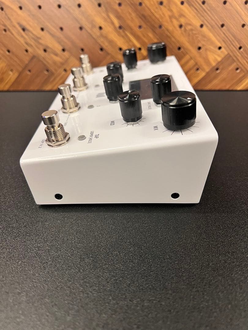 meris LVX ディレイ ギター