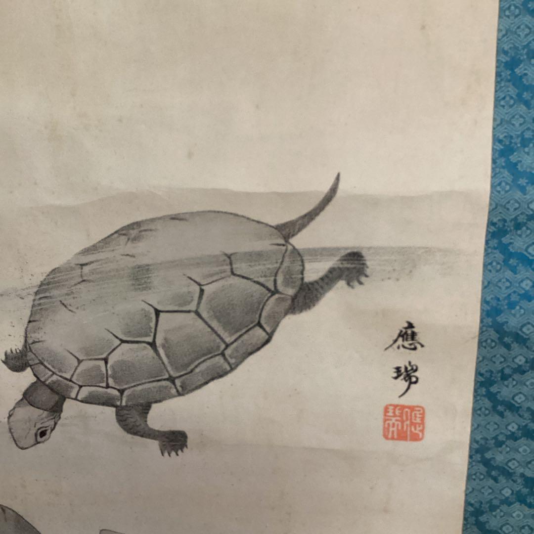 圓山派 一門亀之図 木版画 落款印譜あり 掛け軸仕立て直し 必携