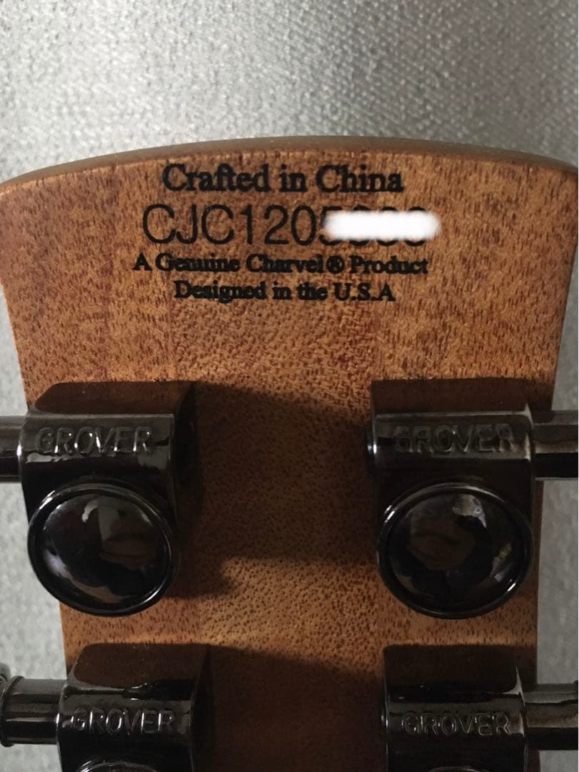 ギター Charvel DS-2ST DESOLATION