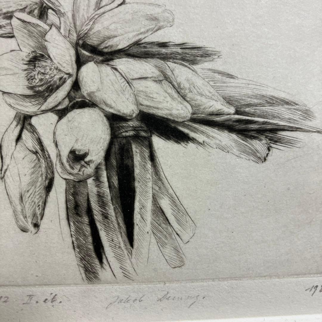 Jakob Demusダイヤモンドドライポイント技法エッチングボタニカル画②