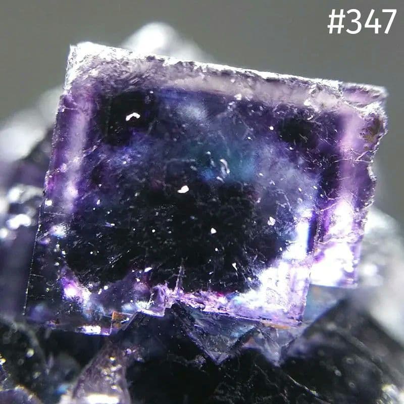 347 オコルス鉱山産 パープル ブルー フローライト - メルカリ