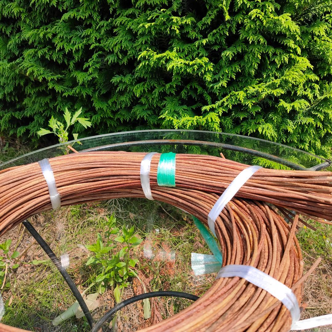 青森県岩木山採取　あけび蔓　150cm～　1kg