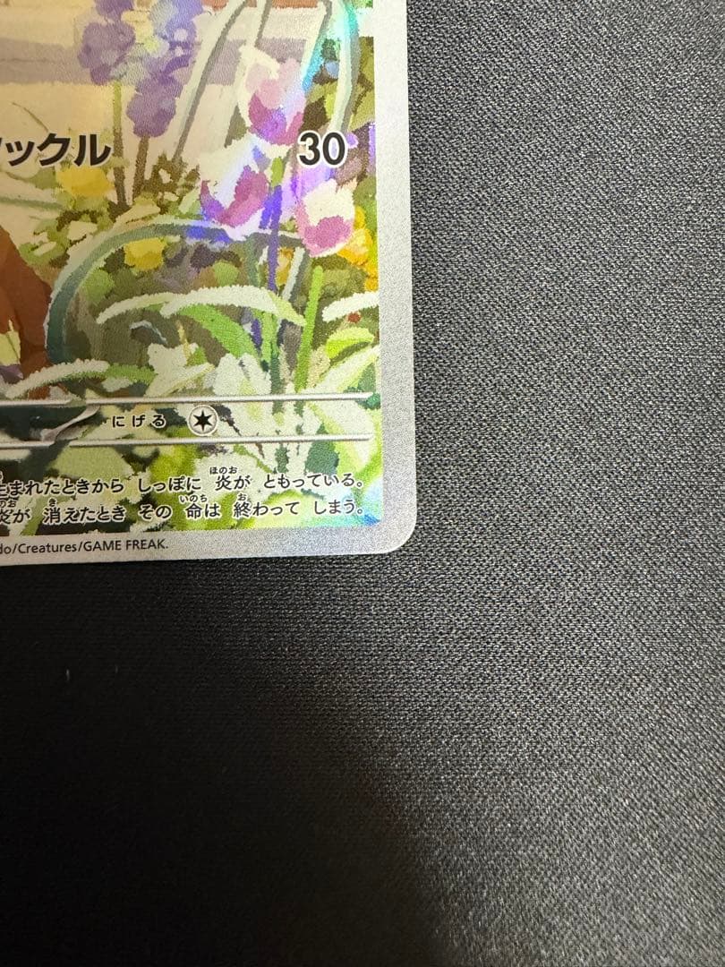 フシギダネ ヒトカゲ ゼニガメ スペシャルデッキセット プロモ 3枚セット