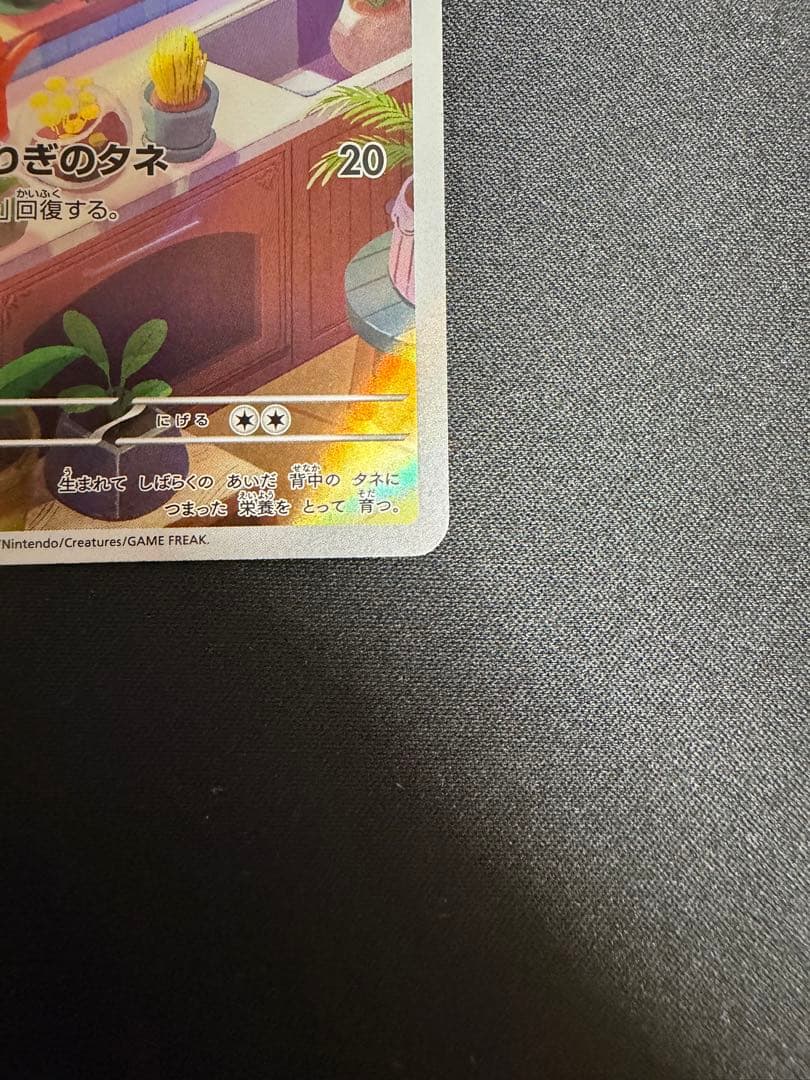 フシギダネ ヒトカゲ ゼニガメ スペシャルデッキセット プロモ 3枚セット