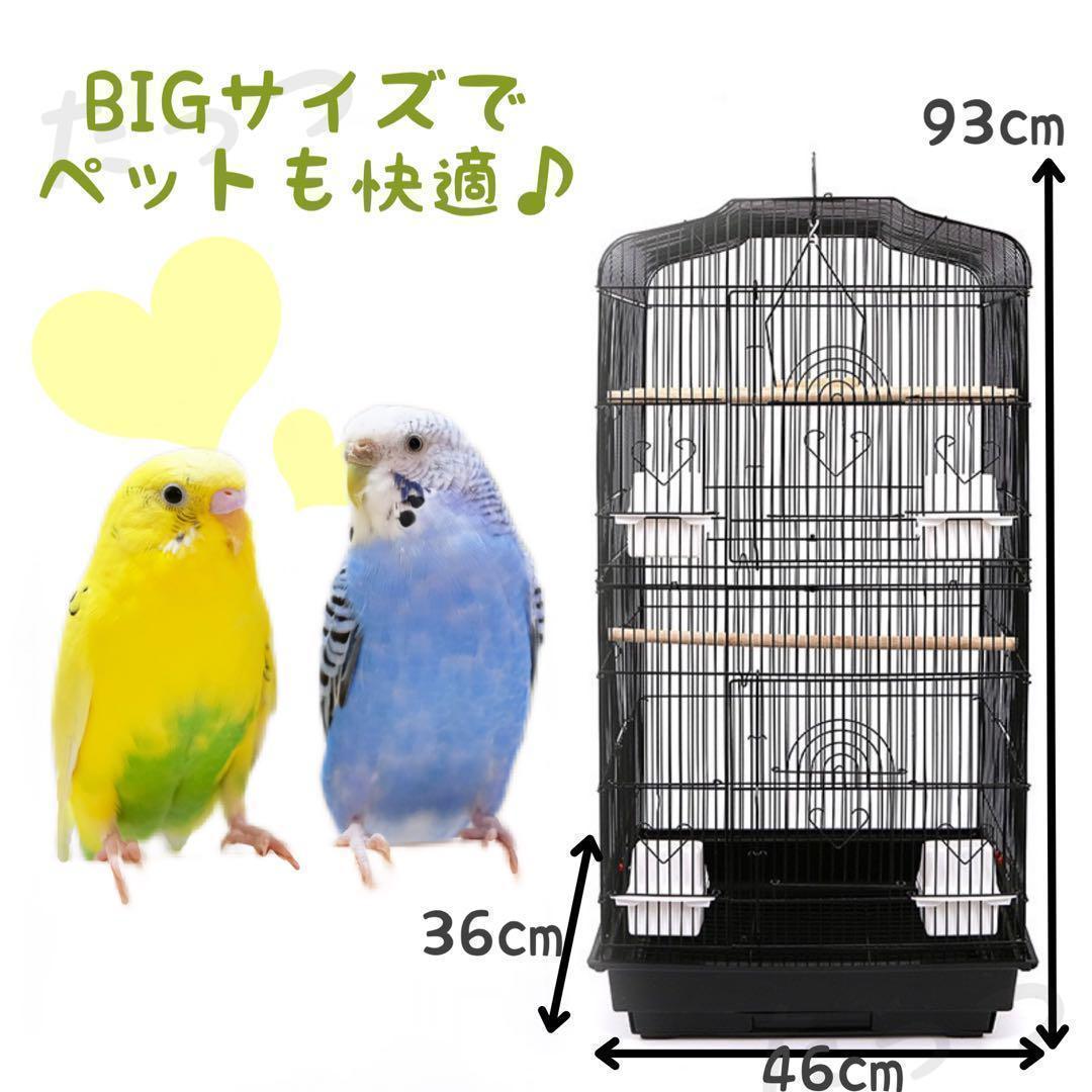 バードアスレチックジム㉚ 天然木 自然木 流木 止まり木 インコ遊び場