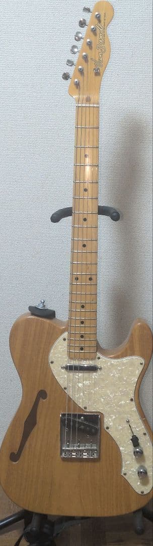 Vanzandt TLV-THINLINE 　ヴァンザント　テレキャスター