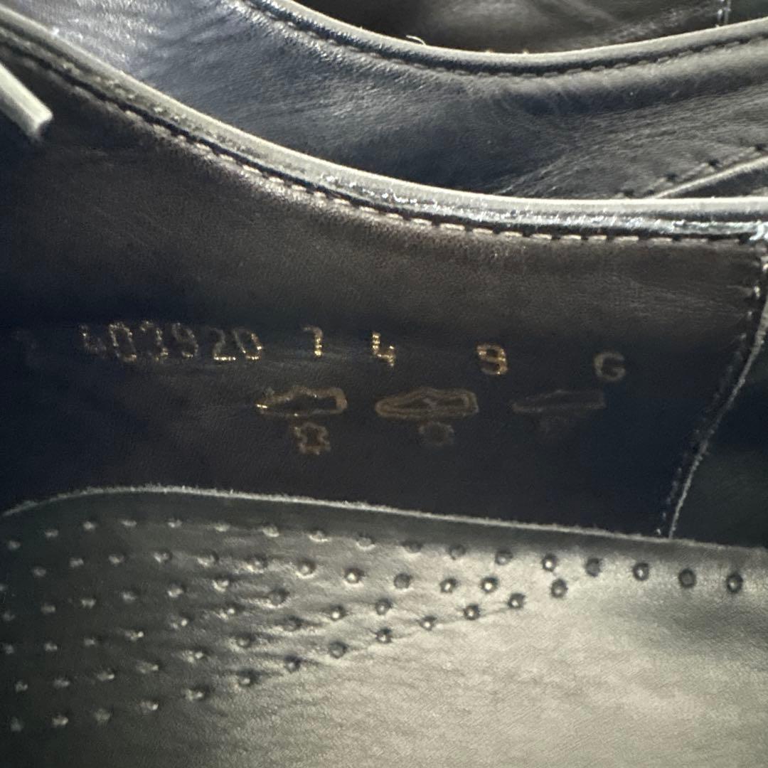 ★APOLLO（アポロ　現：ハインリッヒディンケラッカー）Germany ドイツ