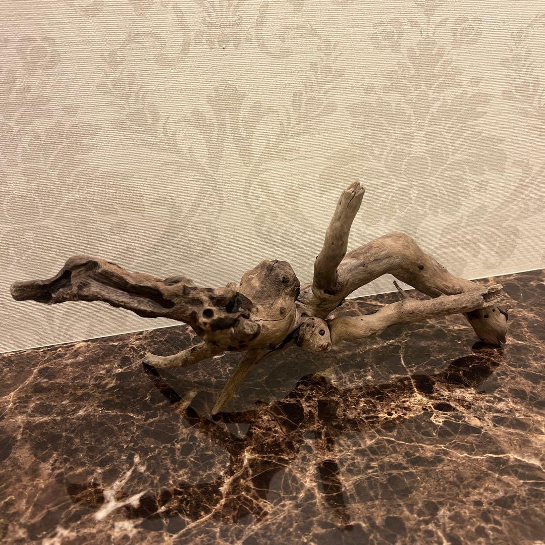 POCOS 様専用 天然流木【17】 【53】【131】 POCOS 様専用 天然流木