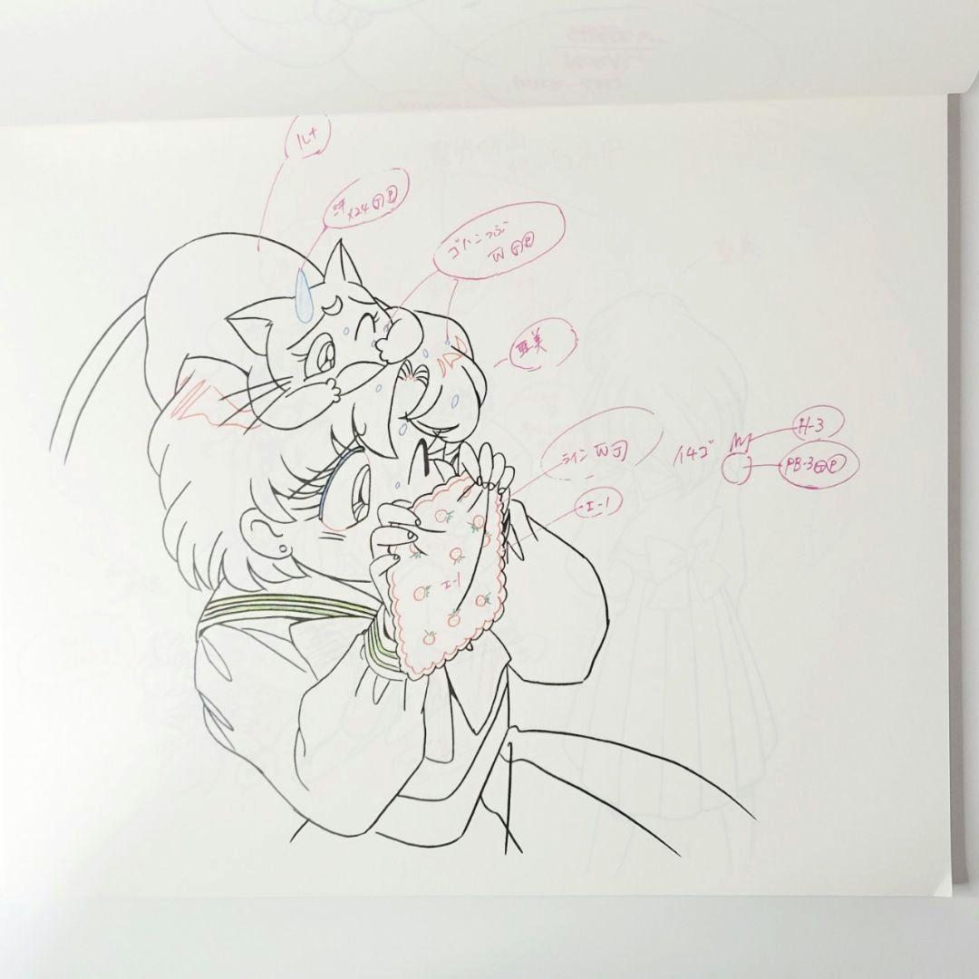 美少女戦士セーラームーンR エイル＆アン編 動画集 テレビ朝日 東映動画