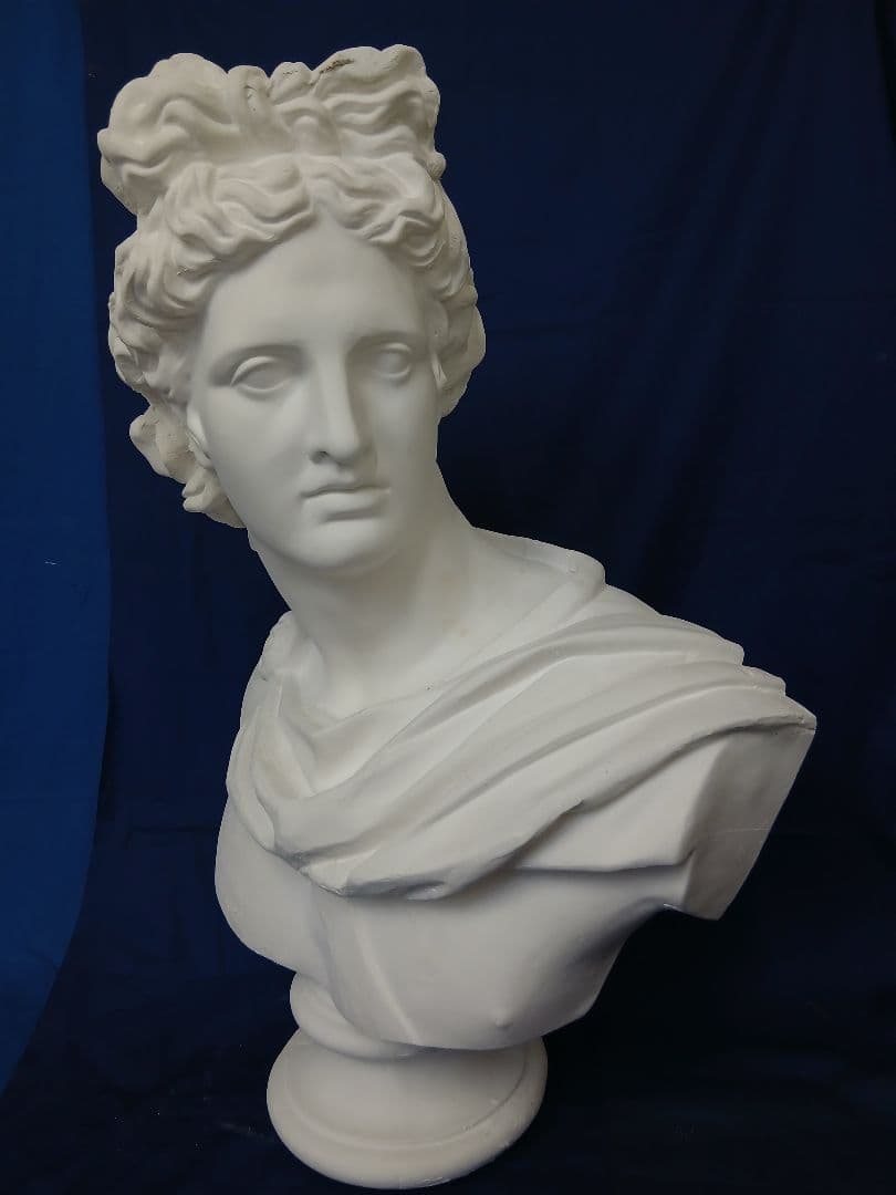 アポロ胸像(高さ81cm)