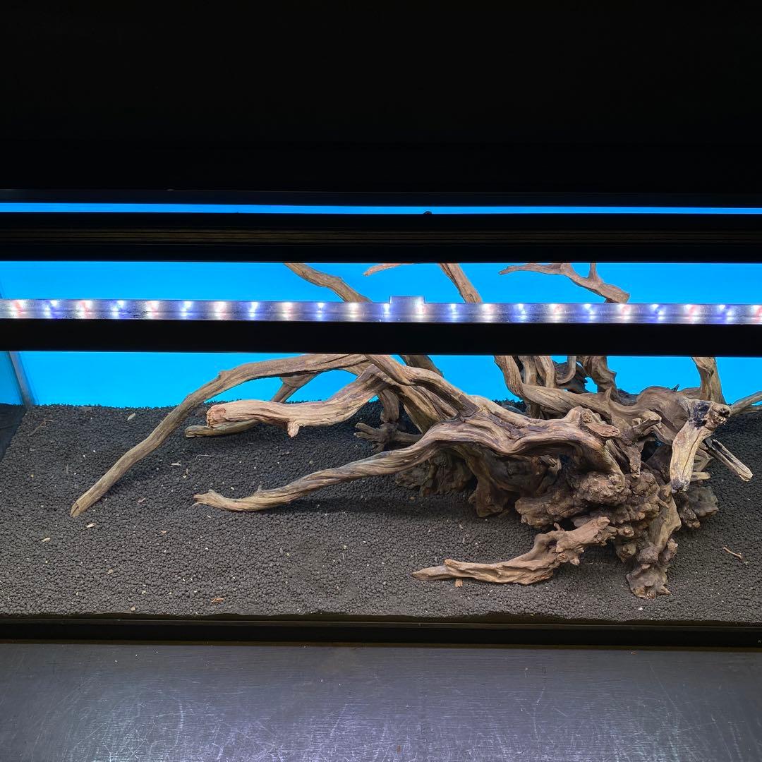 MSRW-6735 天然流木レイアウトセット スリムウッド アクアリウム