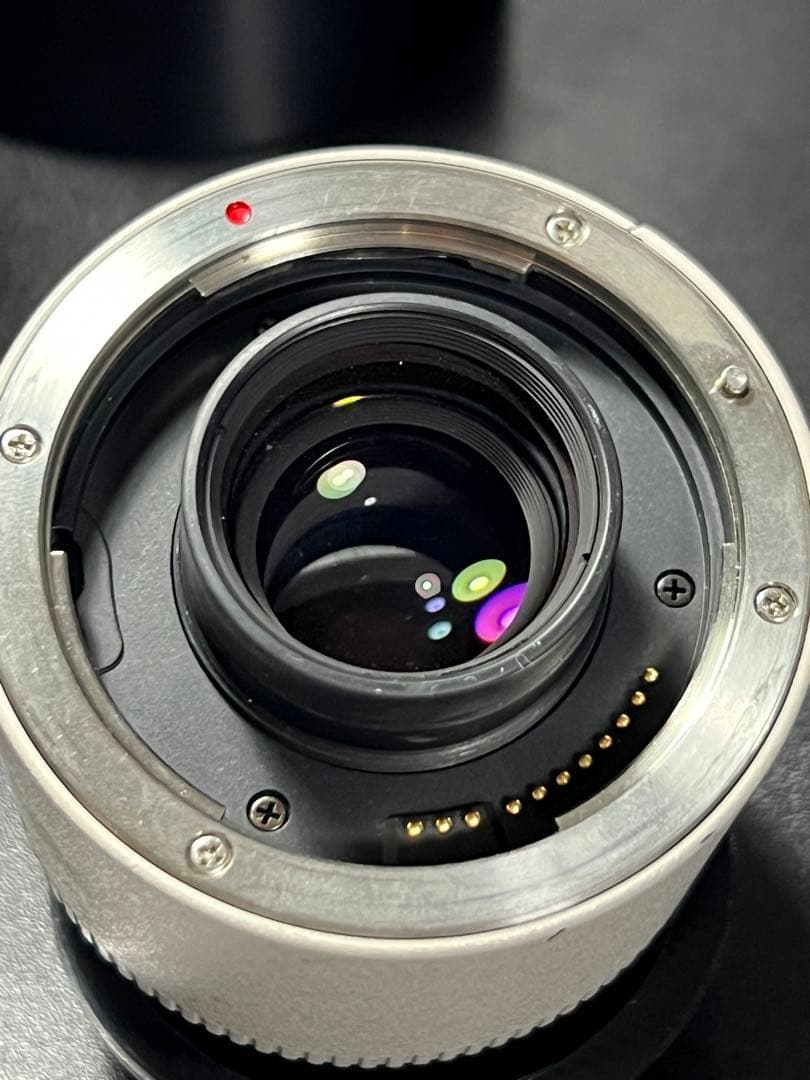 組合せ最大400mm!】 EF 70-200mm と EXTENDER 2X