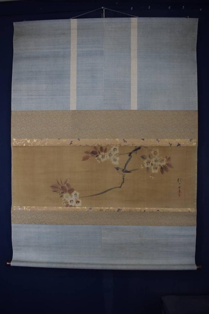 酒井抱一/山桜小禽図/桜に小鳥図/大横物/掛軸☆