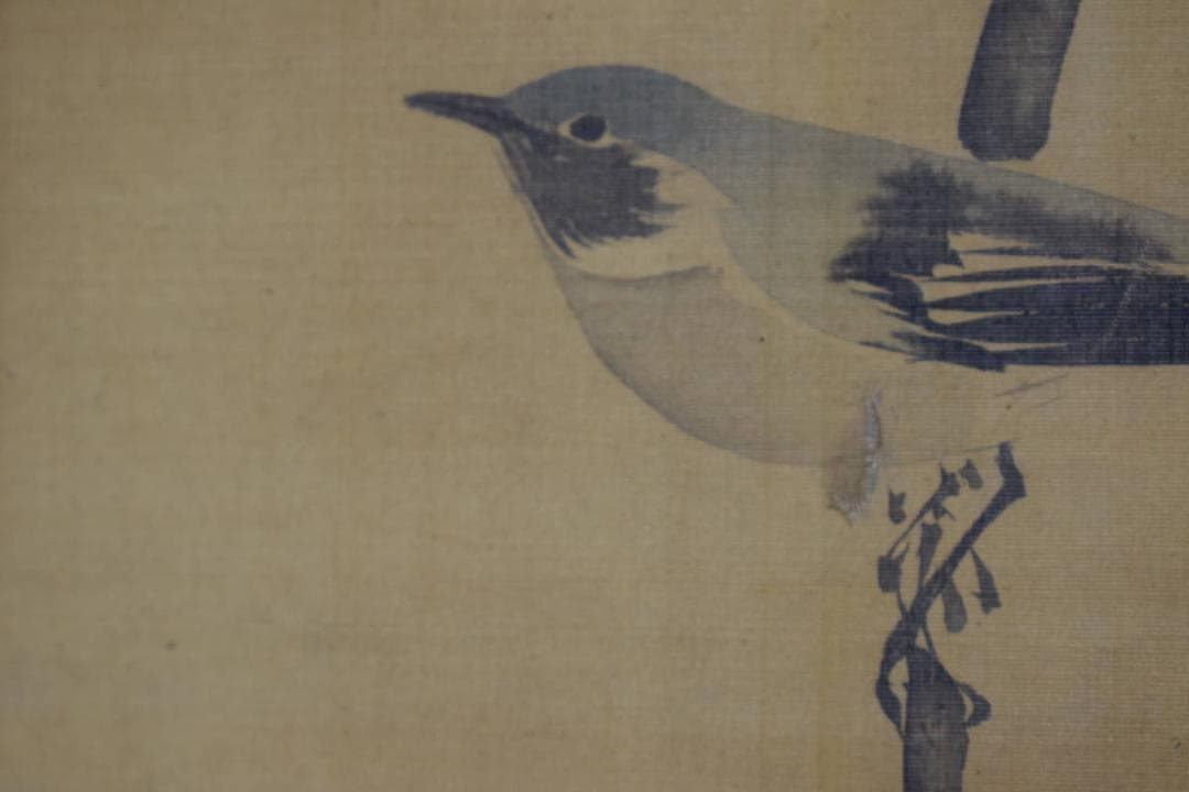 酒井抱一/山桜小禽図/桜に小鳥図/大横物/掛軸☆