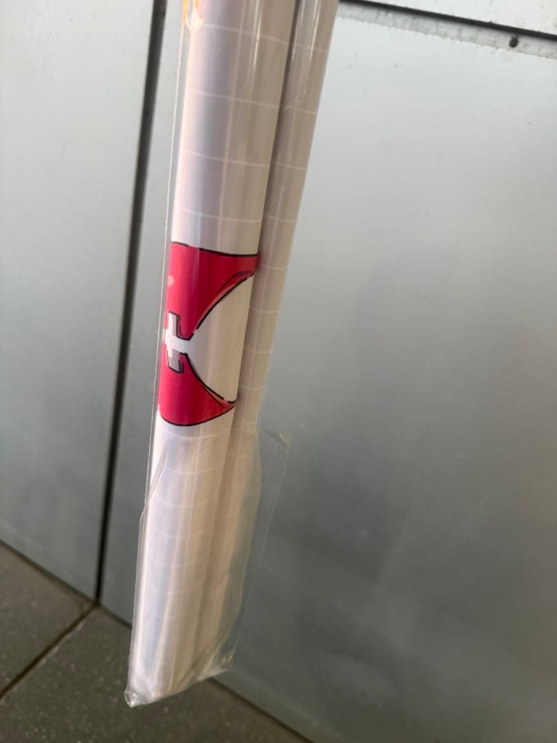 C107 いもむすめ。 荻pote カヨコ 等身大タペストリー ブルアカ