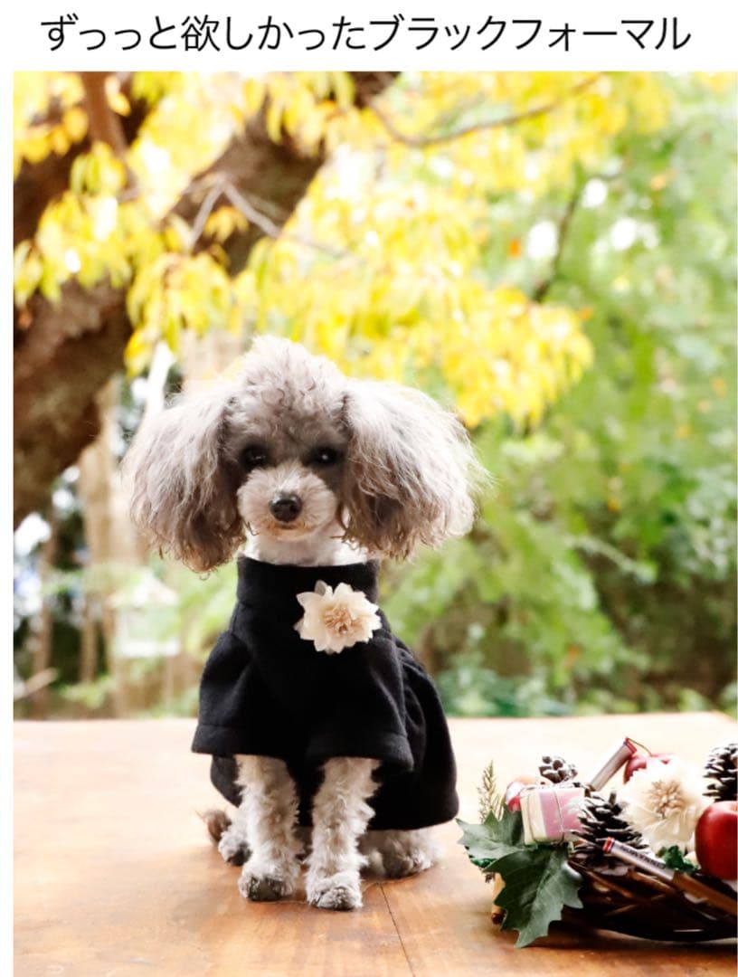 アトリエgg⭐︎ マント・デ・マルシェ⭐︎コート⭐︎カシミヤ⭐︎1ハーフ