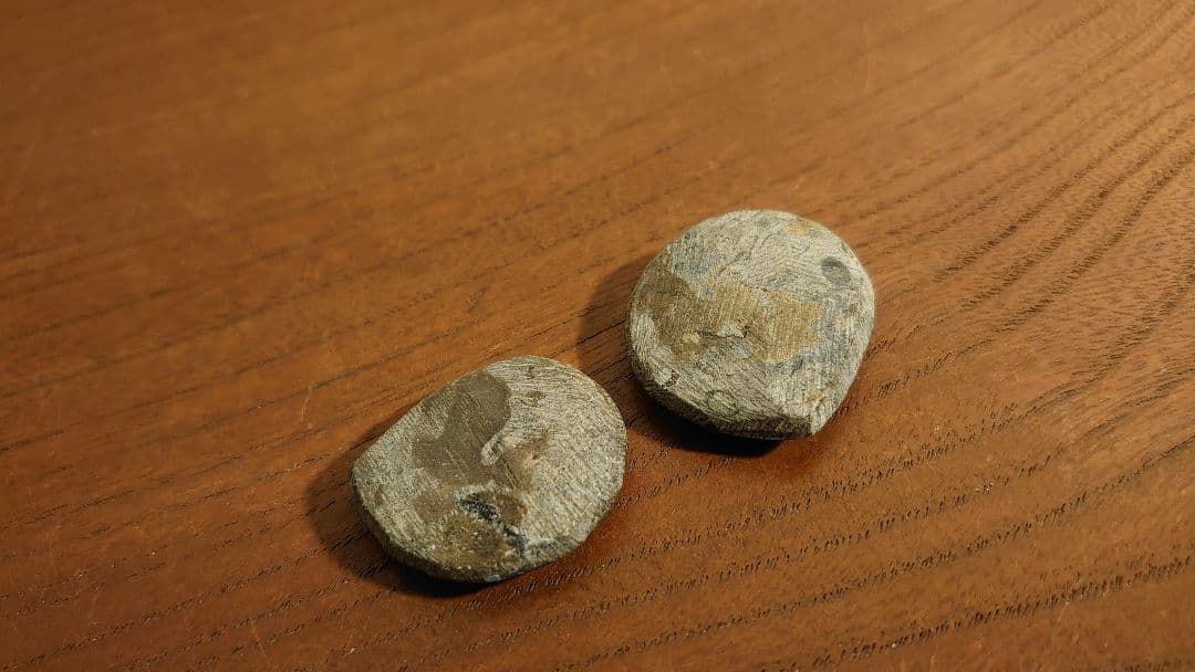 アンモナイト 恐竜 古代貝 化石 標本 鑑賞品 博物館保存 2個