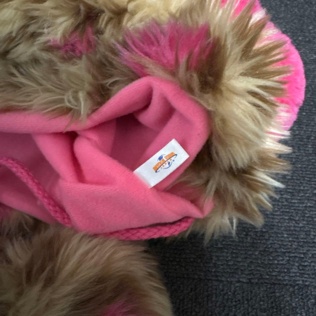 【希少・レア】 ファンキャップ　2個セット