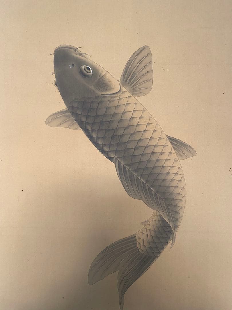岡田錬石 錬石 飛鯉 鯉 躍鯉 出世鯉 日本画