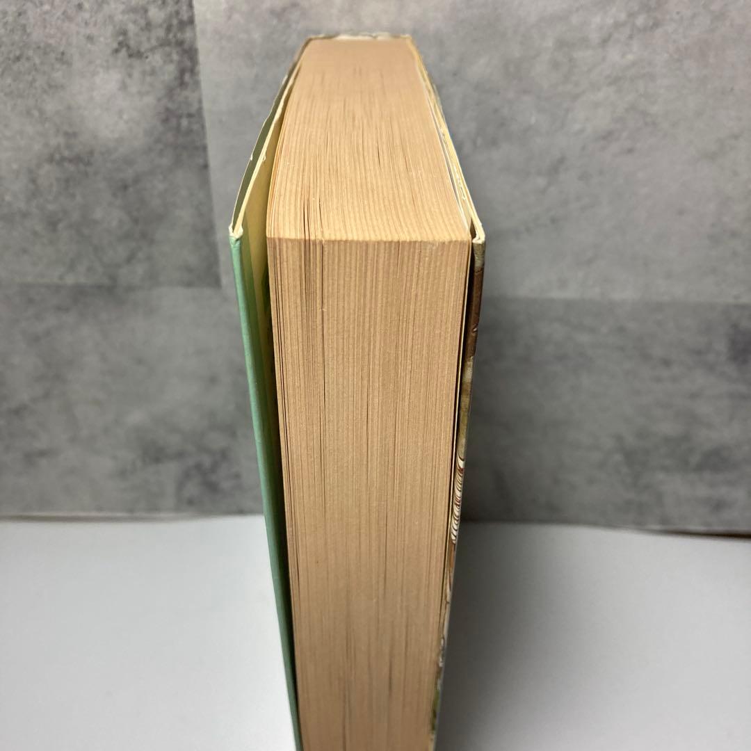 虹へのさすらいの旅 芝田勝茂 和田慎二 福音館書店