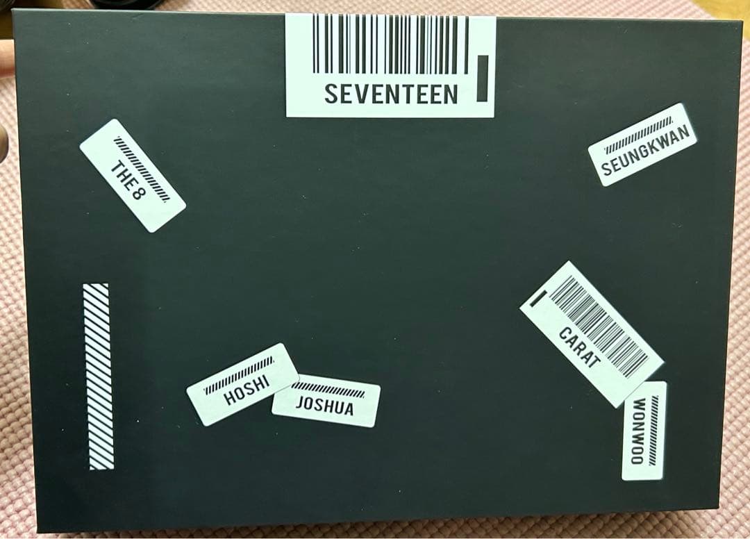 SEVENTEEN メンバーシップキット 2020 パイロット