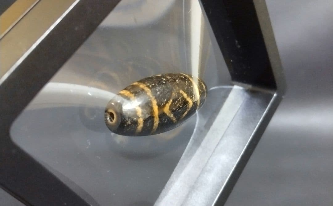 636天珠 金剛三眼天珠 dzibeads！