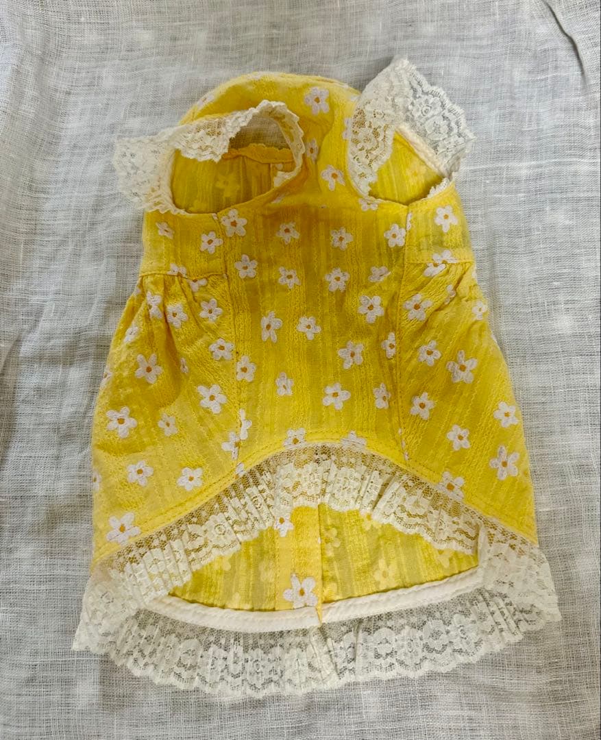 アトリエgg⭐︎ シークワーサーの花 ⭐︎ワンピース⭐︎1ハーフ