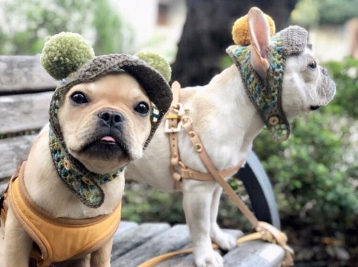 能面 小面 能面袋付 (M7)