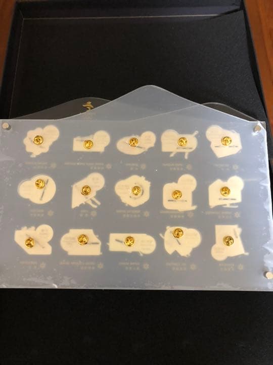 レア　北京2022オリンピックピンバッジ　ピンズ　限定品 ピンバッジ 限定