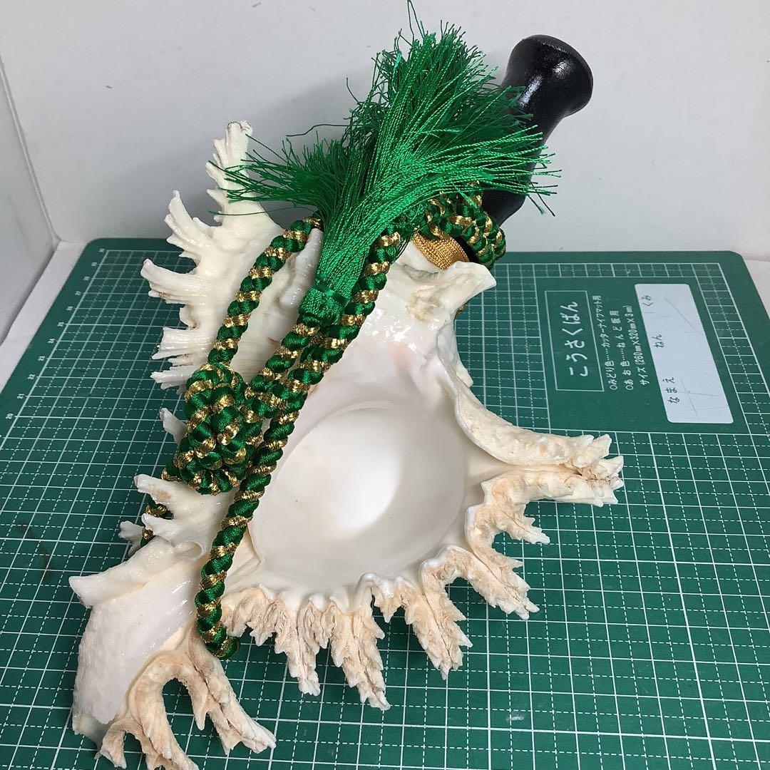 ヤフメリ15・テングガイ・法螺貝・山伏・修験者・金峯山・羽黒山・戦国武将・縁起物