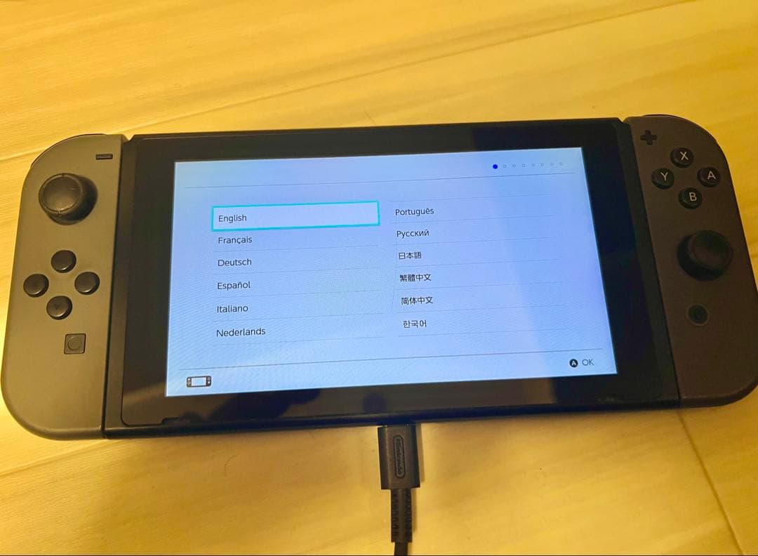 Nintendo Switch 付属品完備 中古 グレー