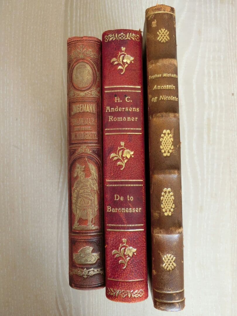デンマーク語の洋書セット☆アンデルセン