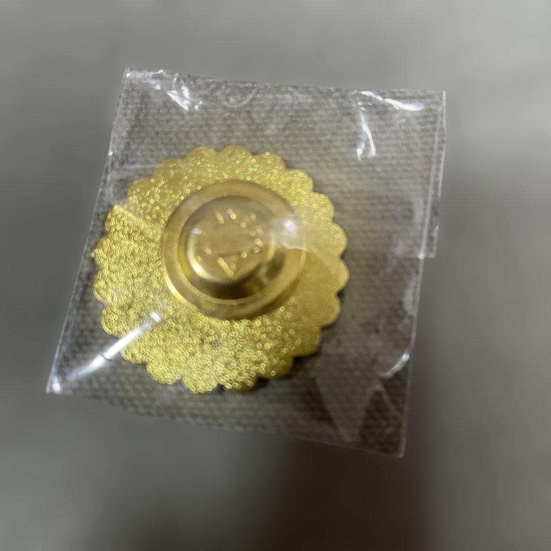 【超レア】ドバイ万博　2020 ピンバッジ　非売品　マグネット式