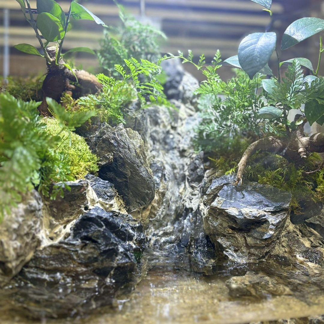 滝の流れるアクアテラリウム No.1143