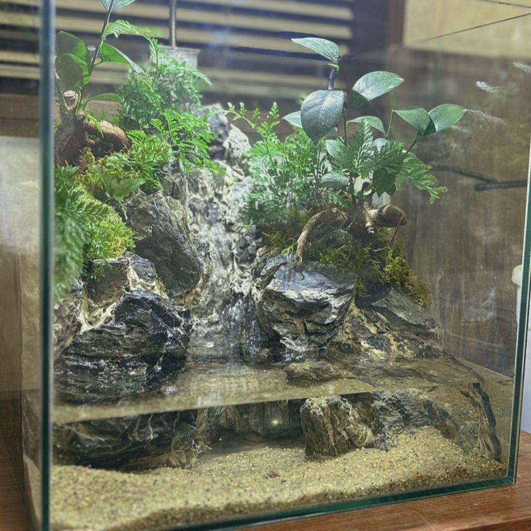 滝の流れるアクアテラリウム No.1143