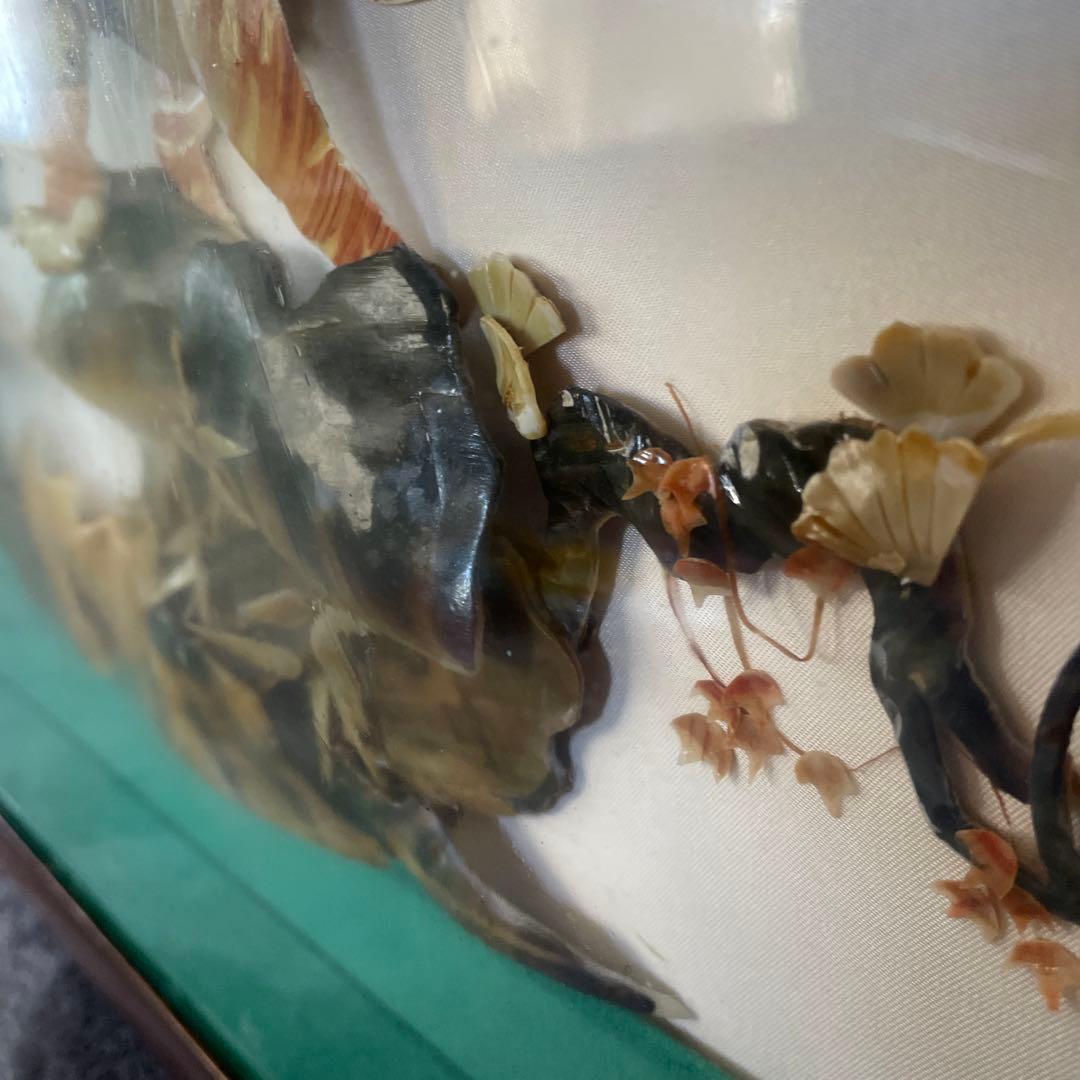 空山の額 〜貝殻で岩に立つ虎を表現している。値下げ