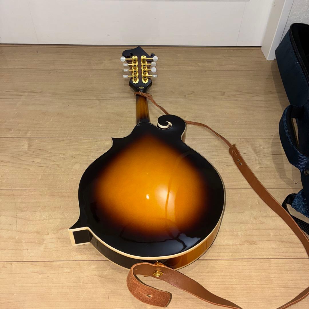 プレイテック　Playtech F型マンドリン　PFM10F ギグバック付き！