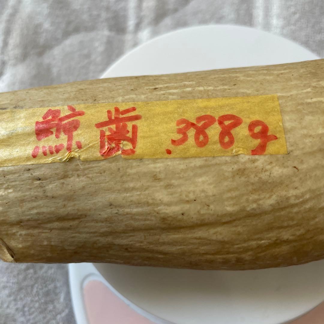 くじらの歯 マッコウクジラの歯 鯨歯 鯨の歯 鯨歯